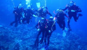 7-divers-below.jpg