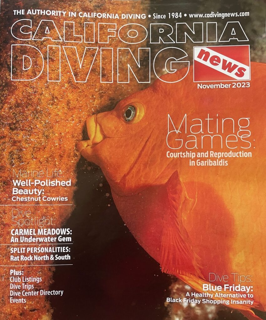 California Diving News November 2023 