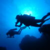Drift diving silhouettes. By Gil Zeimer

