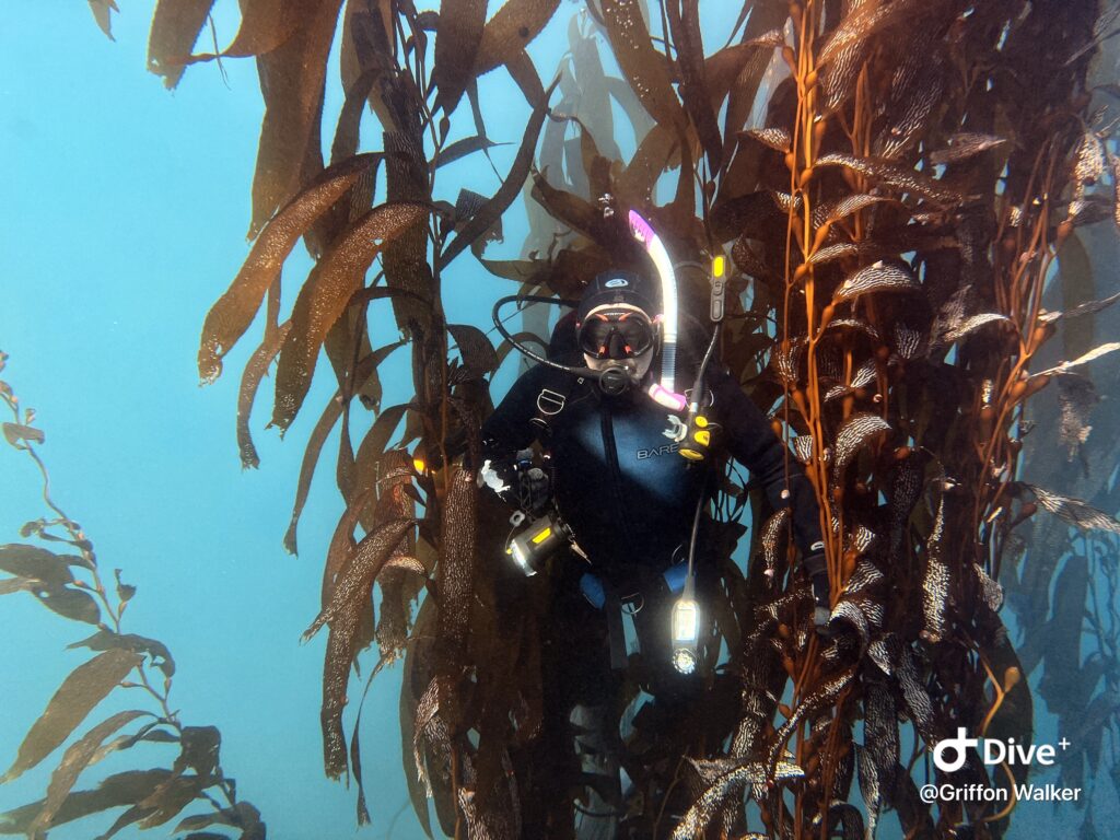 Terry Rowe in his natural habitat. Photo by Griffon Walker.